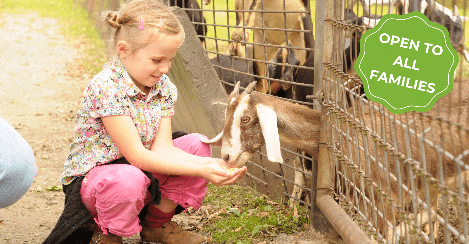 Holiday Hub - Noah's Ark Zoo Farm