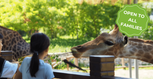 Holiday Hub - Bristol Zoo Project