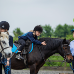 HorseWorld - Discovery Programme