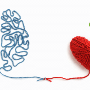 Courses & Workshops - Hearts & Minds