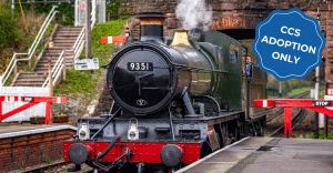 Family Fun Day - Steam Train Trip