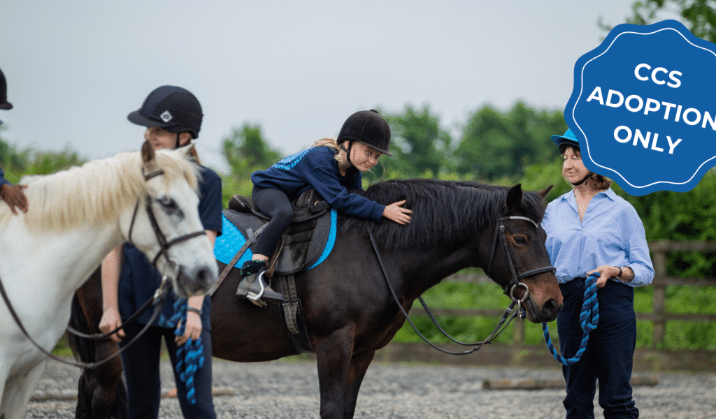 HorseWorld HorseWorld