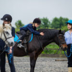 HorseWorld - Discovery Programme