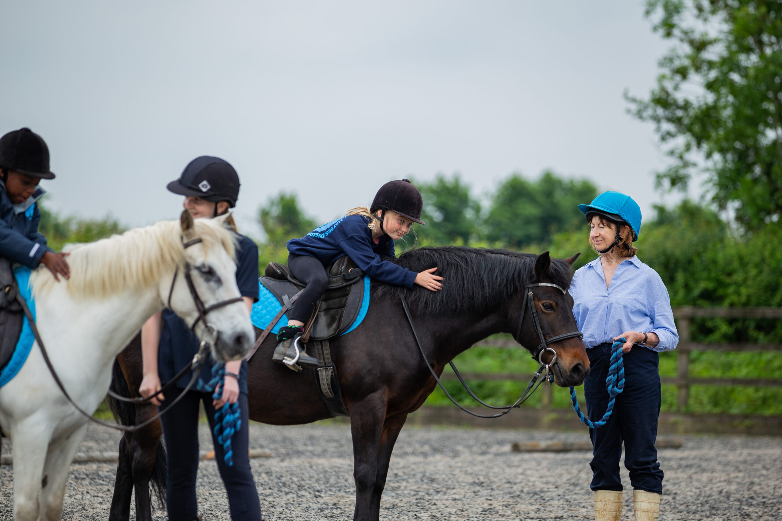 A Team - Discover Horses